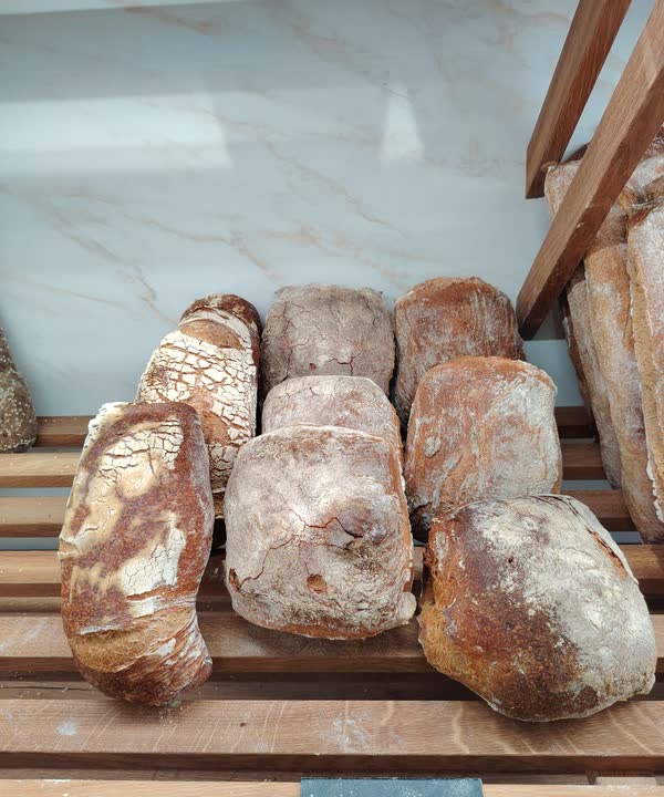 Pains campaillou sur les étagères en bois